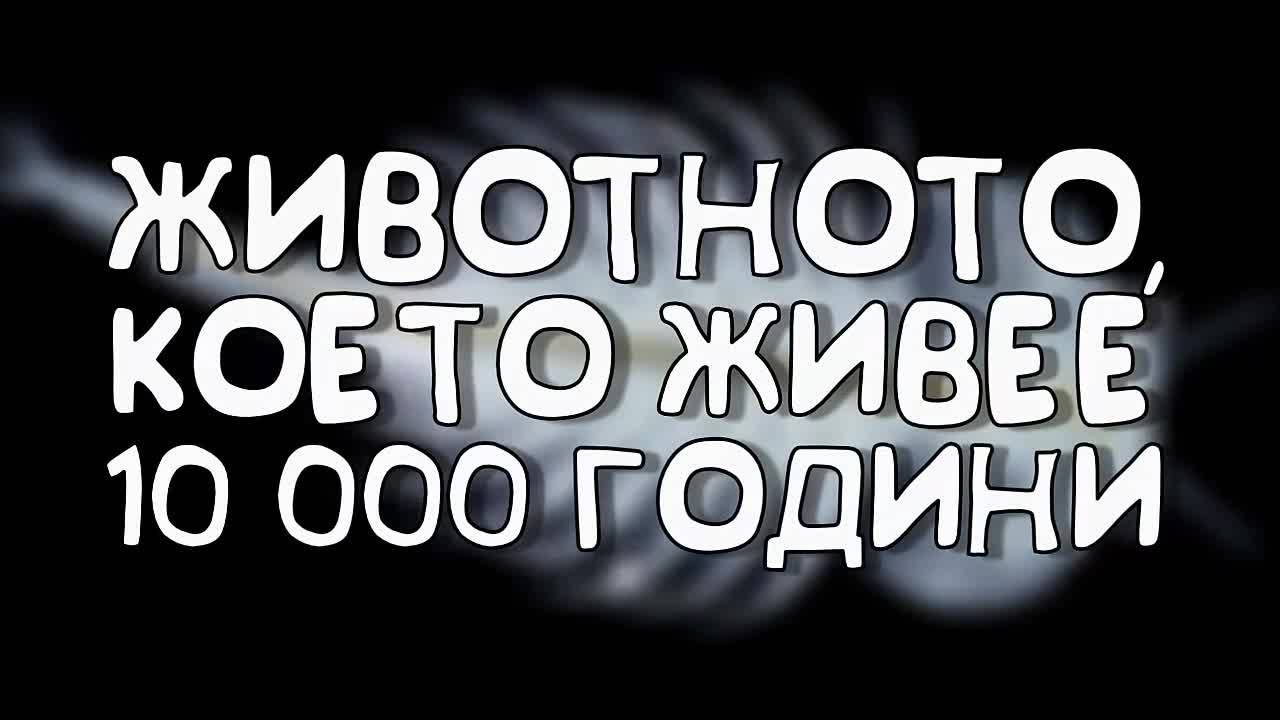 Животното, което живее 10 000 години