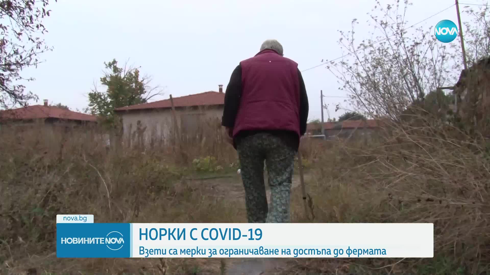 Хора, живеещи до фермата за норки, заразени с COVID-19: Постоянно бягат до близките села