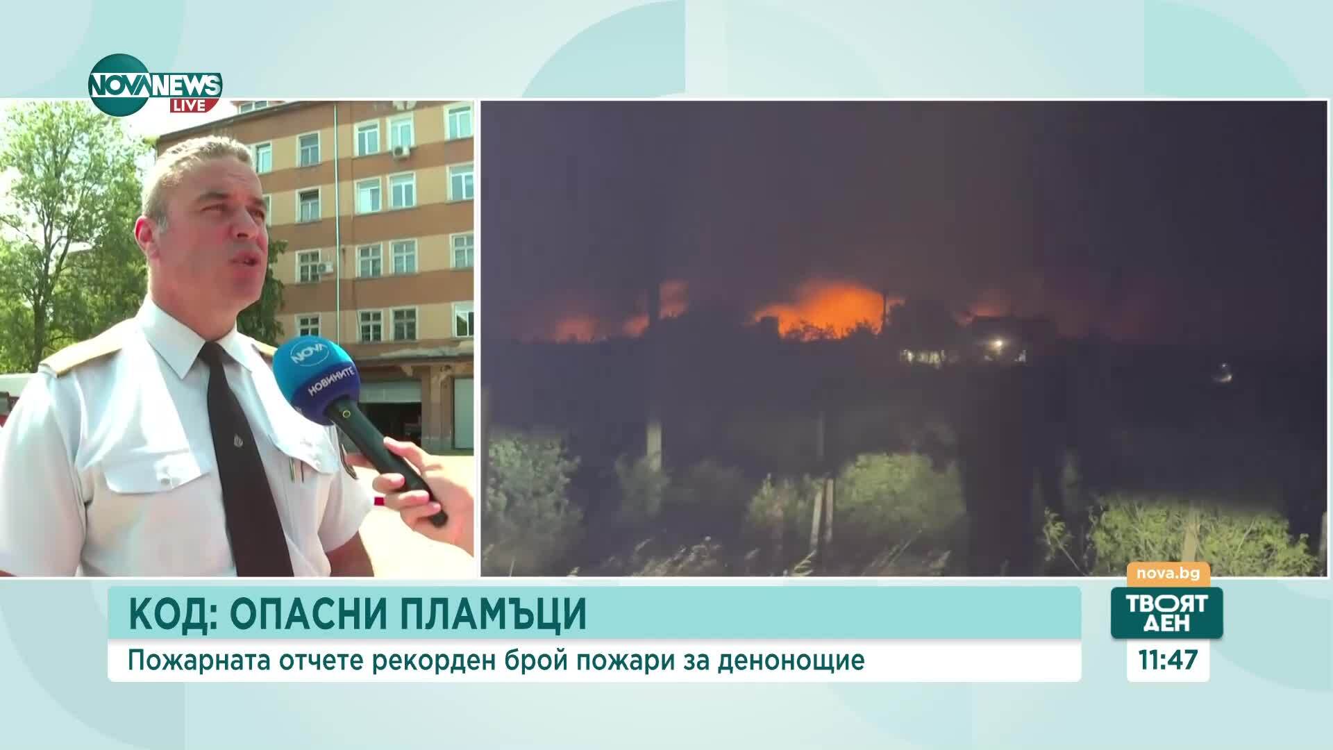 Лятото и пожарите: Горските стопанства започват проверки на туристите в гори и планини