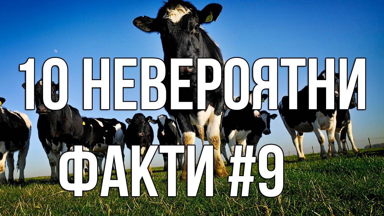 10 Невероятни факти #9