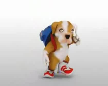 Много Яко Куче Играе На Регетон xD