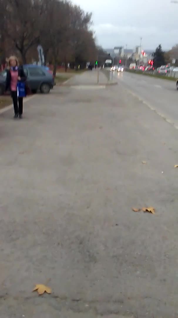 "Безопастният път" на децата до училище "Гео Милев"