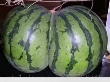 Чудесата на природата...!!!!