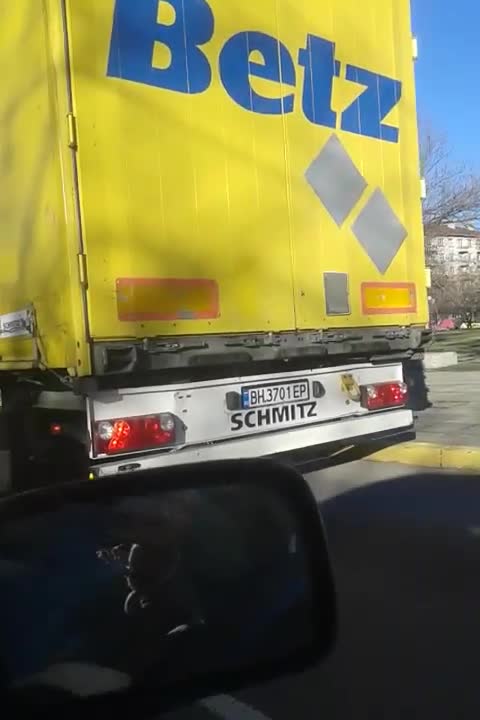 Тир в центъра