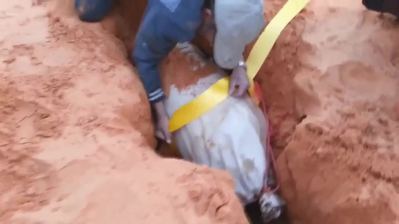 Араби изтеглят кола заседнала в пясъка.