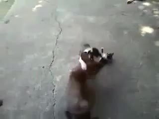Ето това е майчин инстинкт.