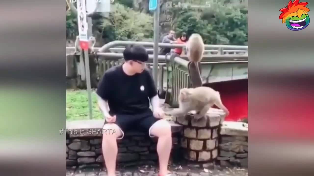 Дневна порция Много смях