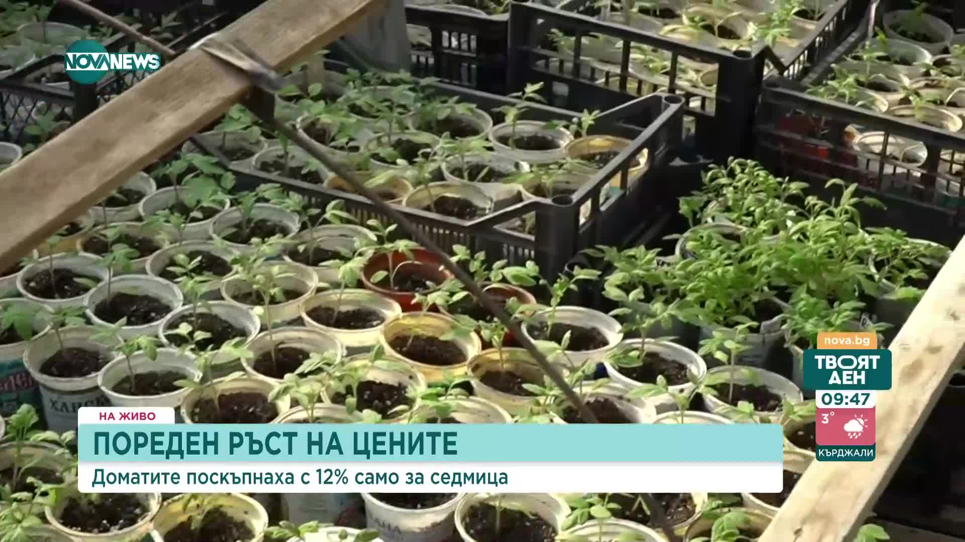Колко ще поскъпнат българските зеленчуци