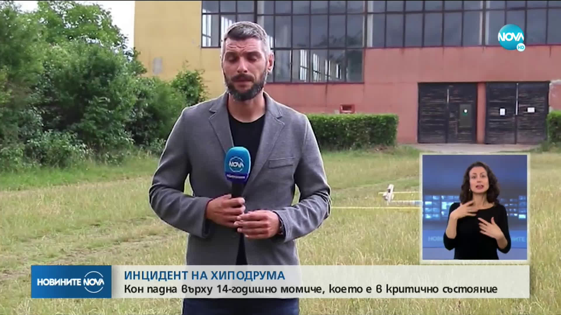 Дете е в критично състояние след инцидент с кон в Шумен