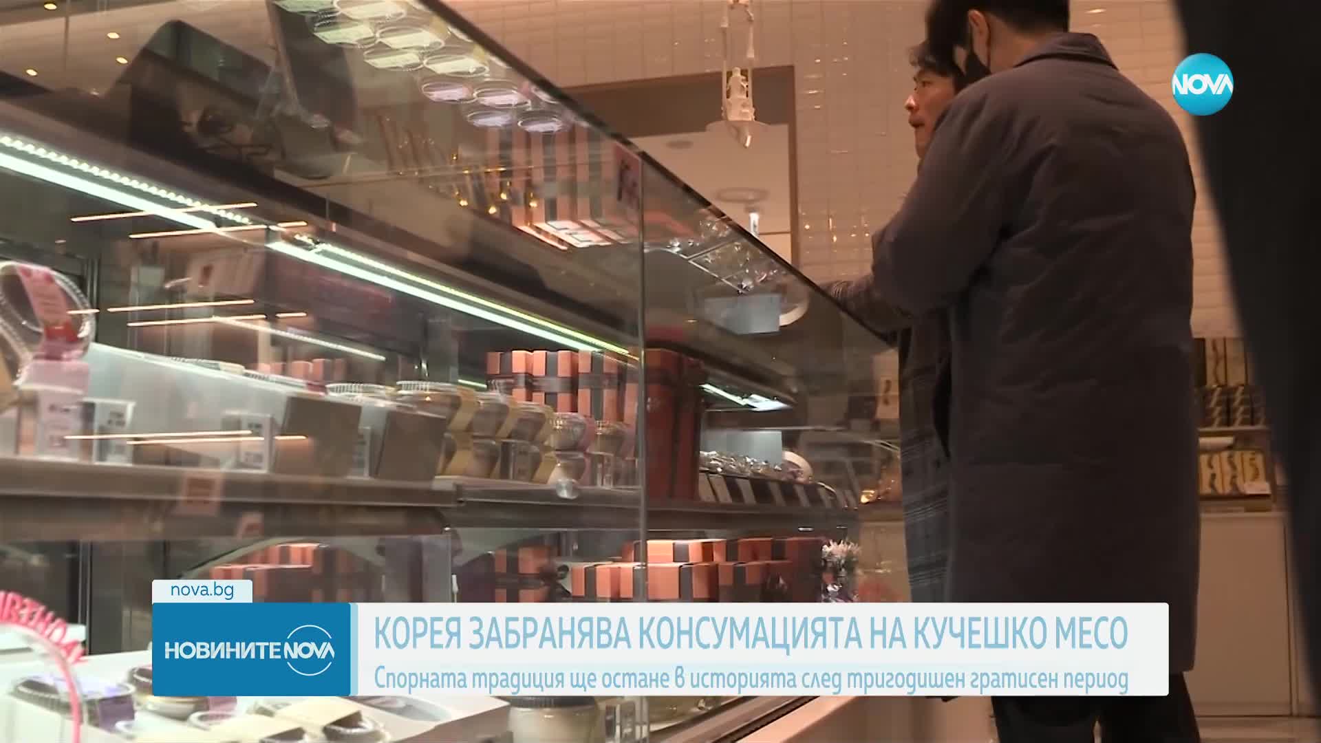 Южна Корея забранява кучешкото месо