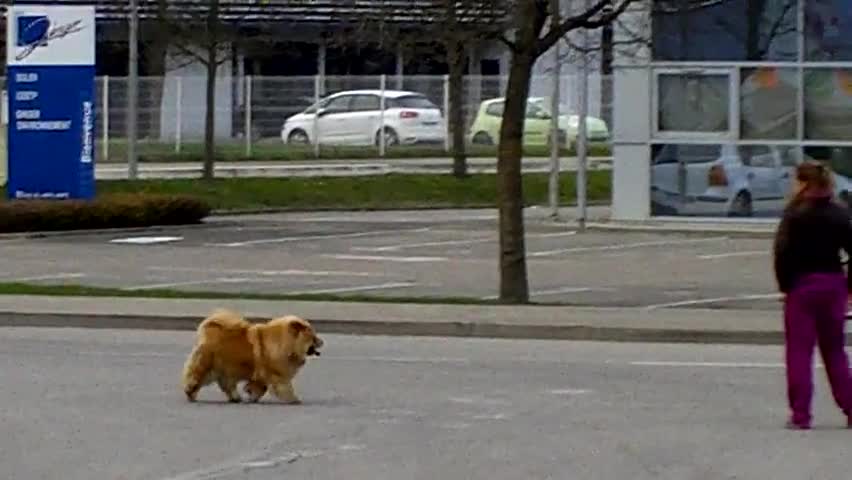 Сряда следобед