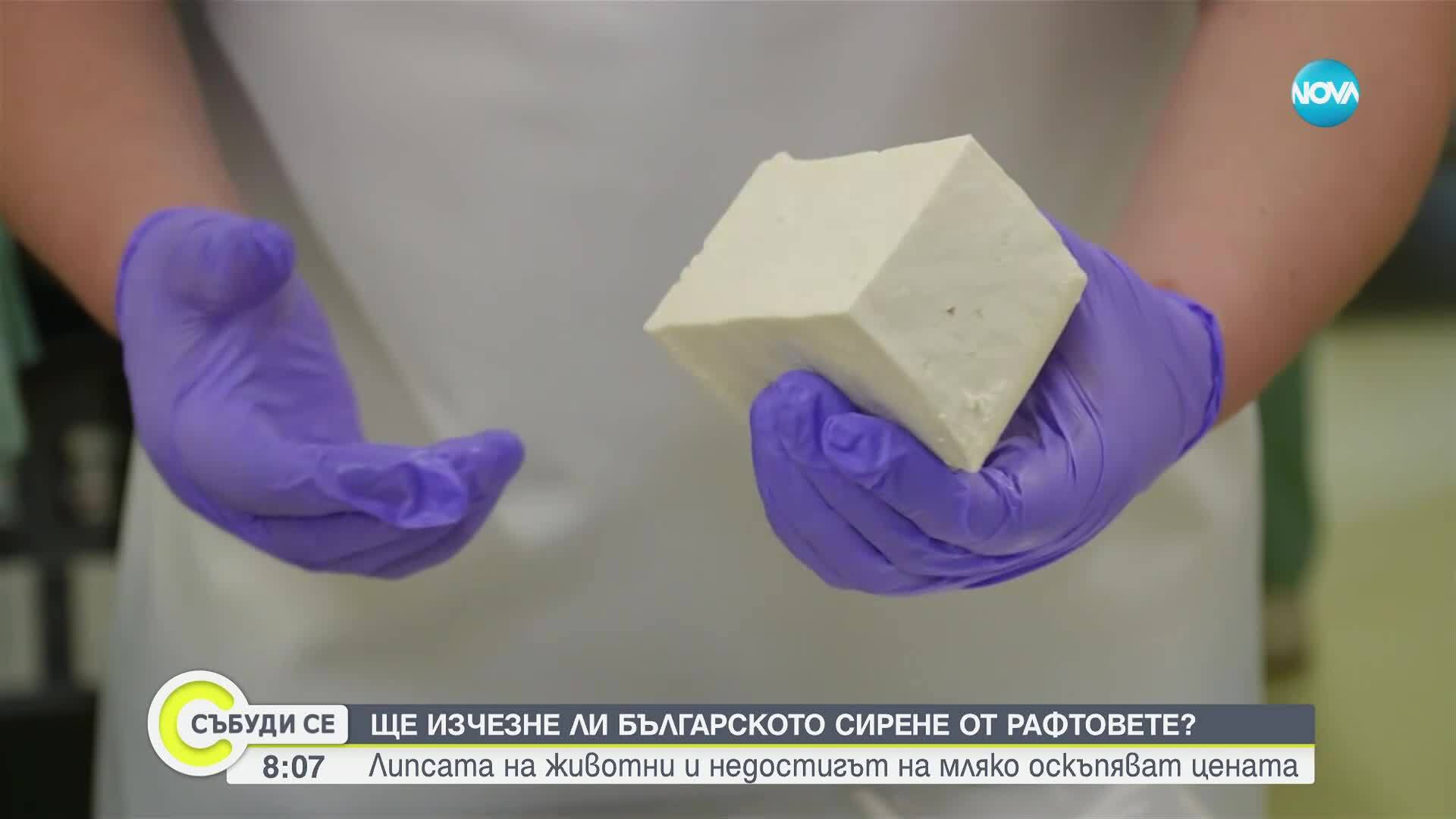 Спад в производството на сирене у нас