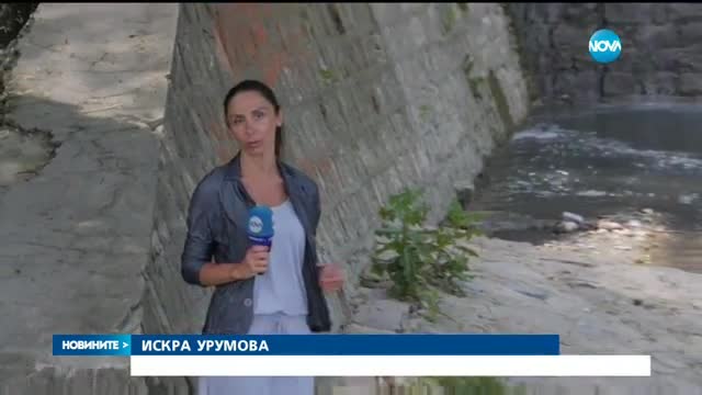 Новините на Нова (13.06.2016 - централна)