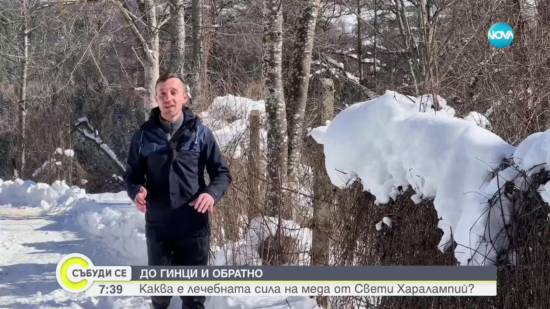 ДО ГИНЦИ И ОБРАТНО: Каква е лечебната сила на меда от Свети Харалампий