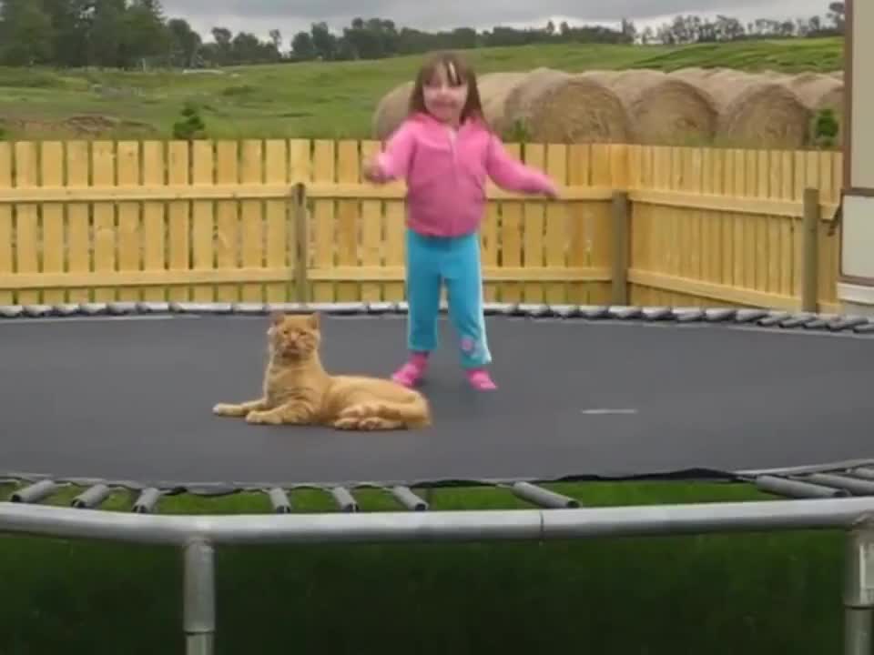 Котка и дете скачат на батут