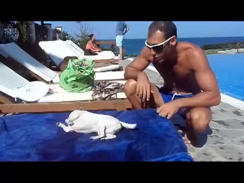 Вижте как кучето на Метин Енимехмедов танцува брейк