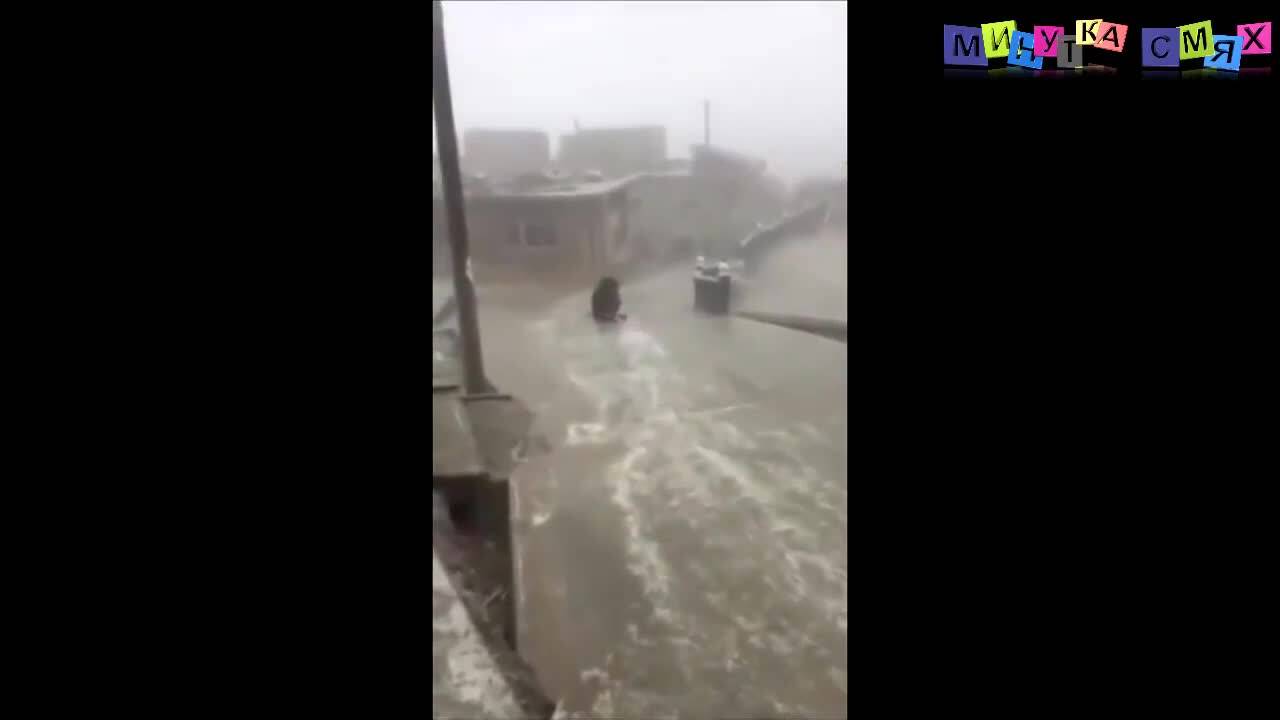 Луди и смешни изцепки - Минутка смях