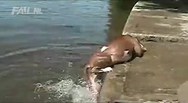 Много болка   Малко смях - Fail 2011 compilation
