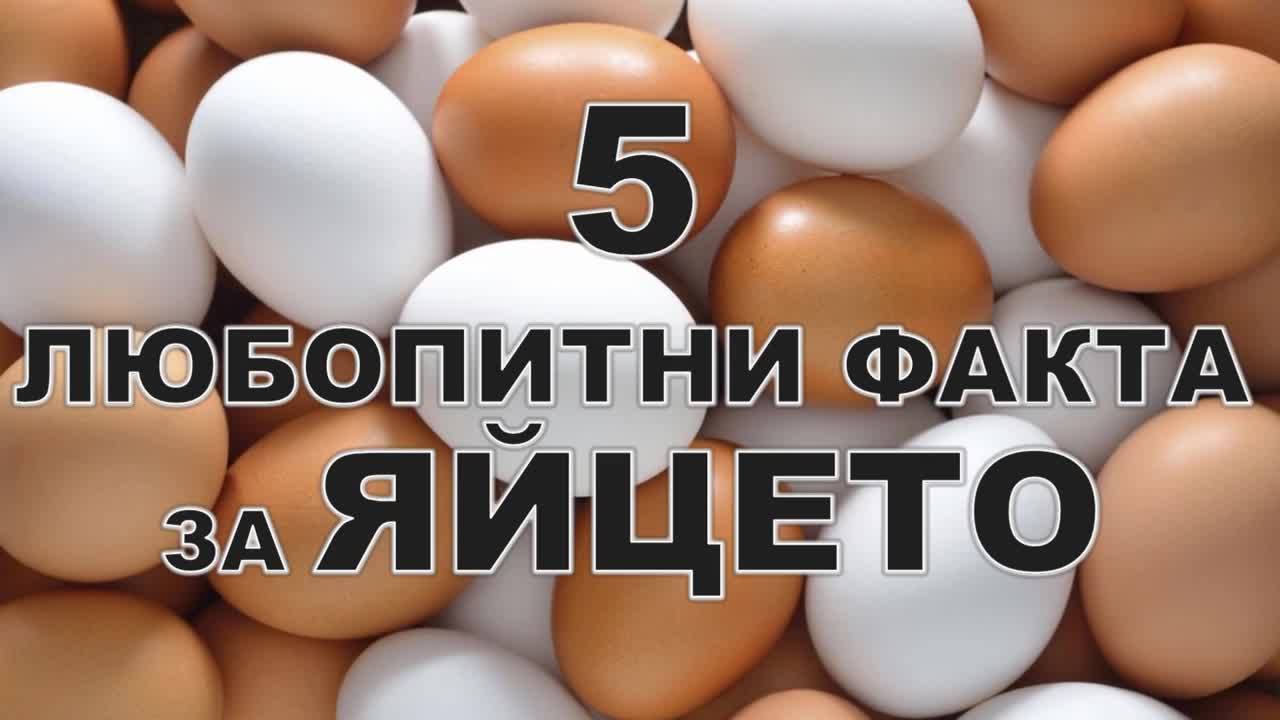 5 любопитни факта за яйцето