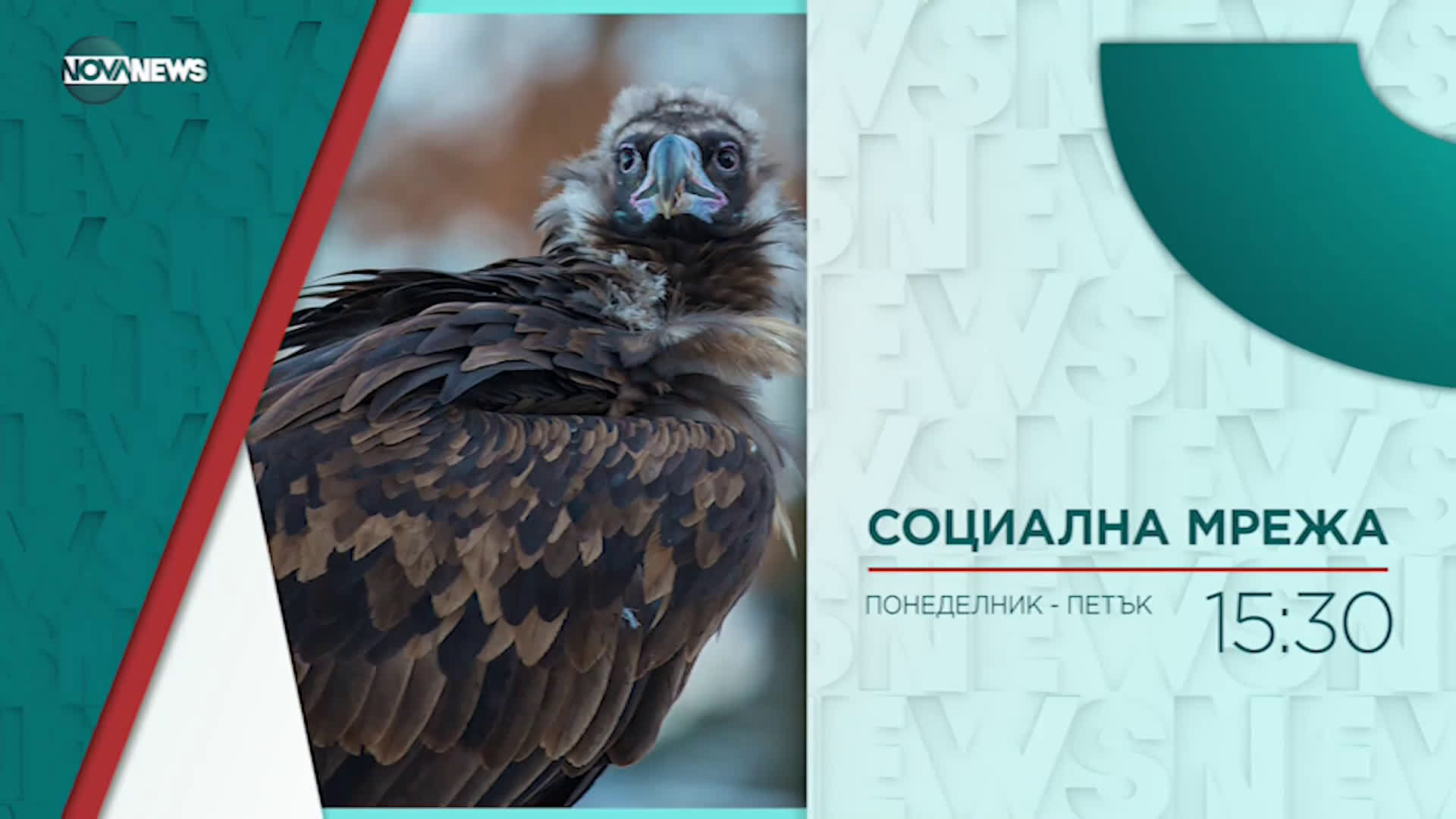 В "Социална мрежа" на 31 май от 15:20 ч. очаквайте