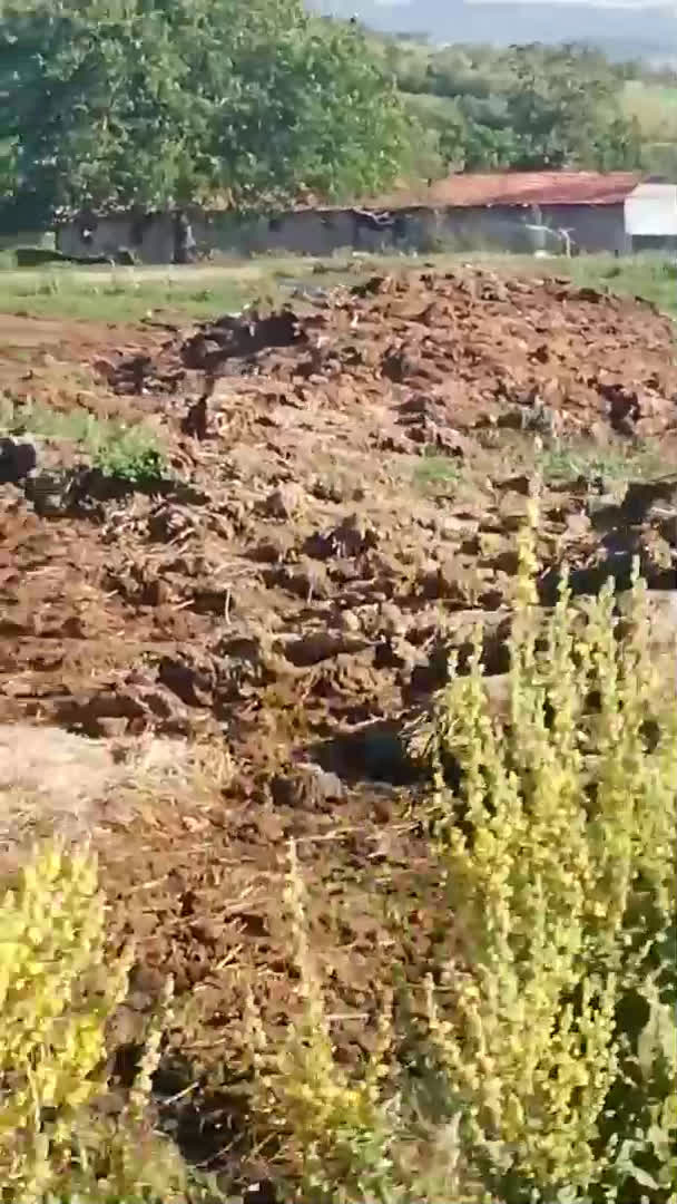 "Моята новина": Ужасна смрад се носи от северната част на Карлово