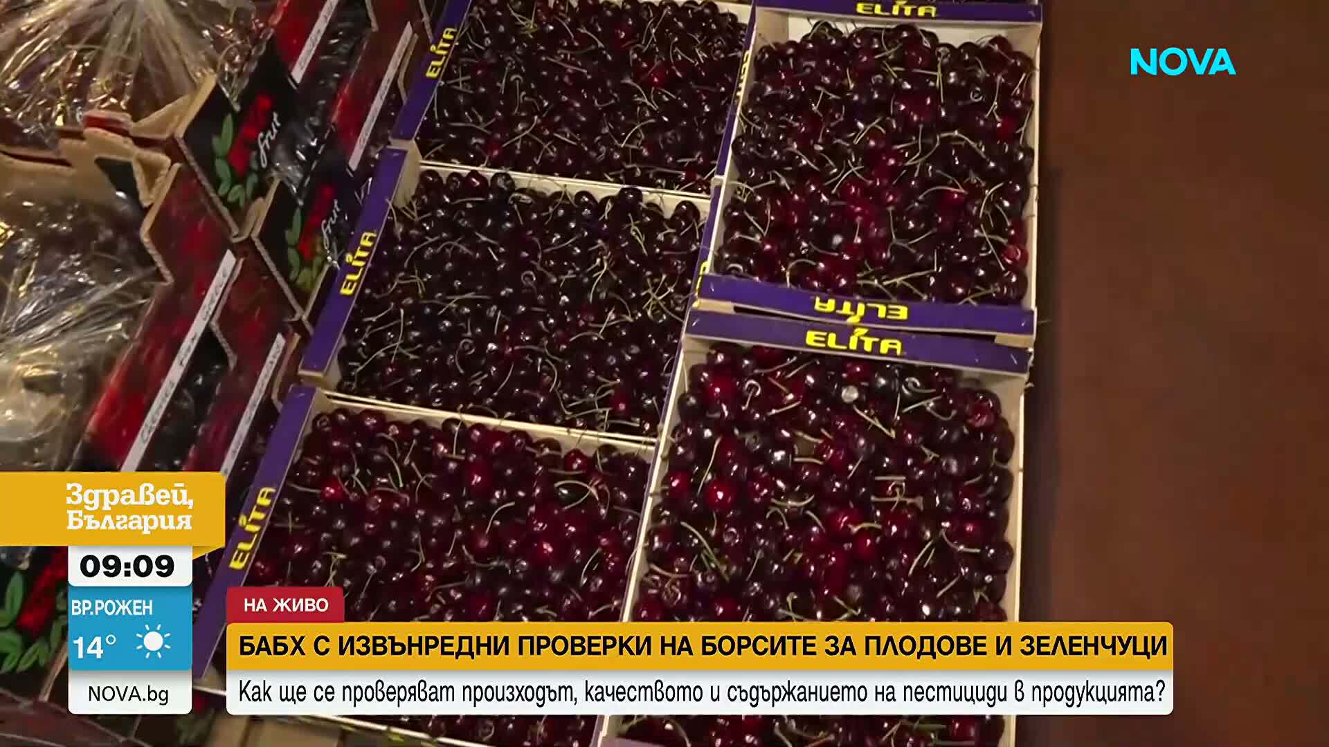 БАБХ проверява борсата в Първенец