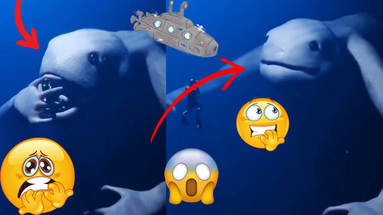 Подводницата на дъното на океана влиза в контакт с дълбоководно