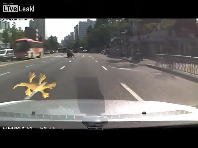 Този полицай взима работата си твърде на сериозно