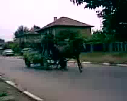 Мила Родна Полицейска Гонитба!