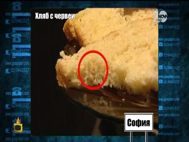 Хляб с червеи - Господари на ефира (12.09.2014)