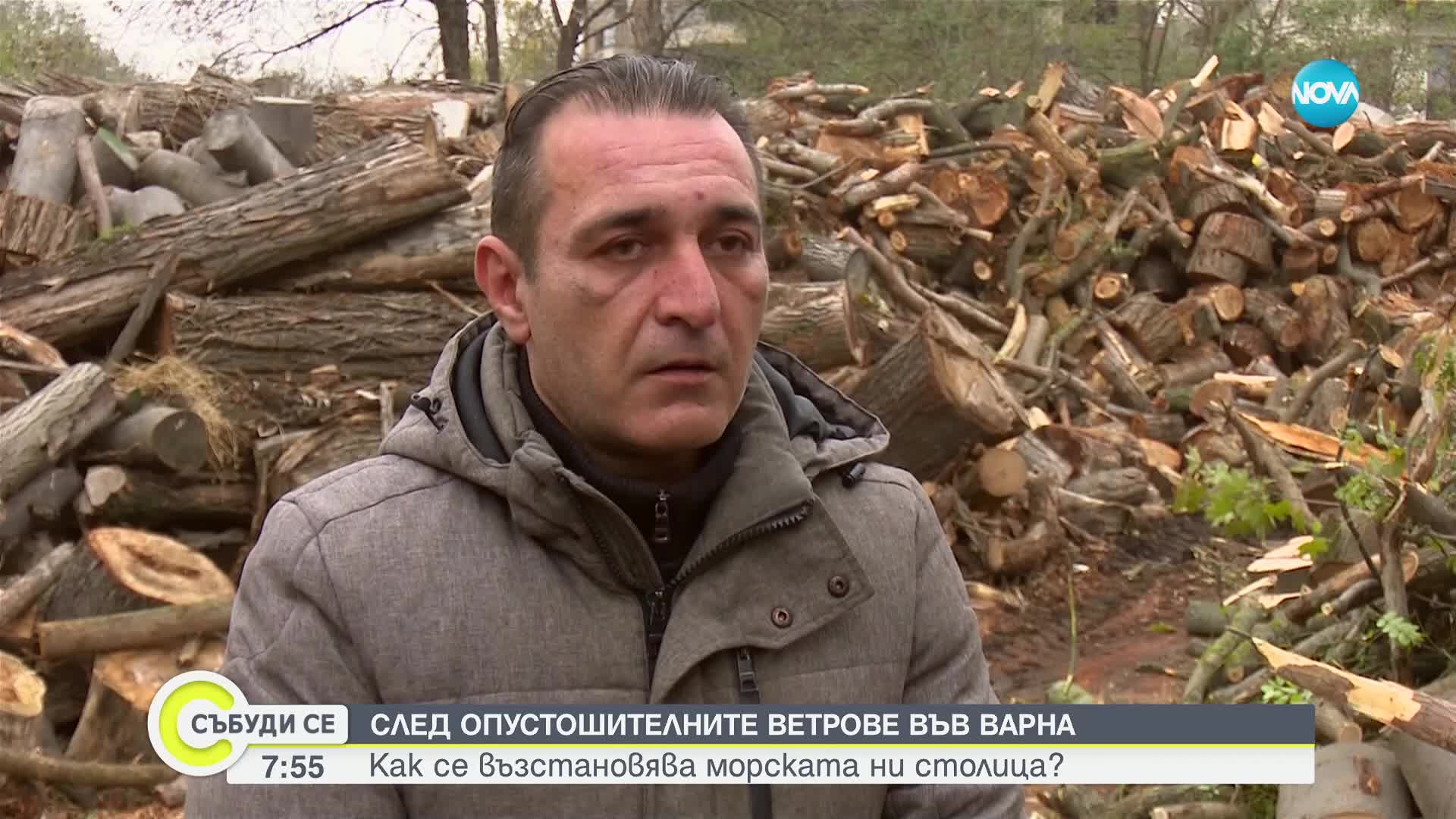 След бедствието във Варна: Раздават събраната дървесина на социално слаби и хора с увр