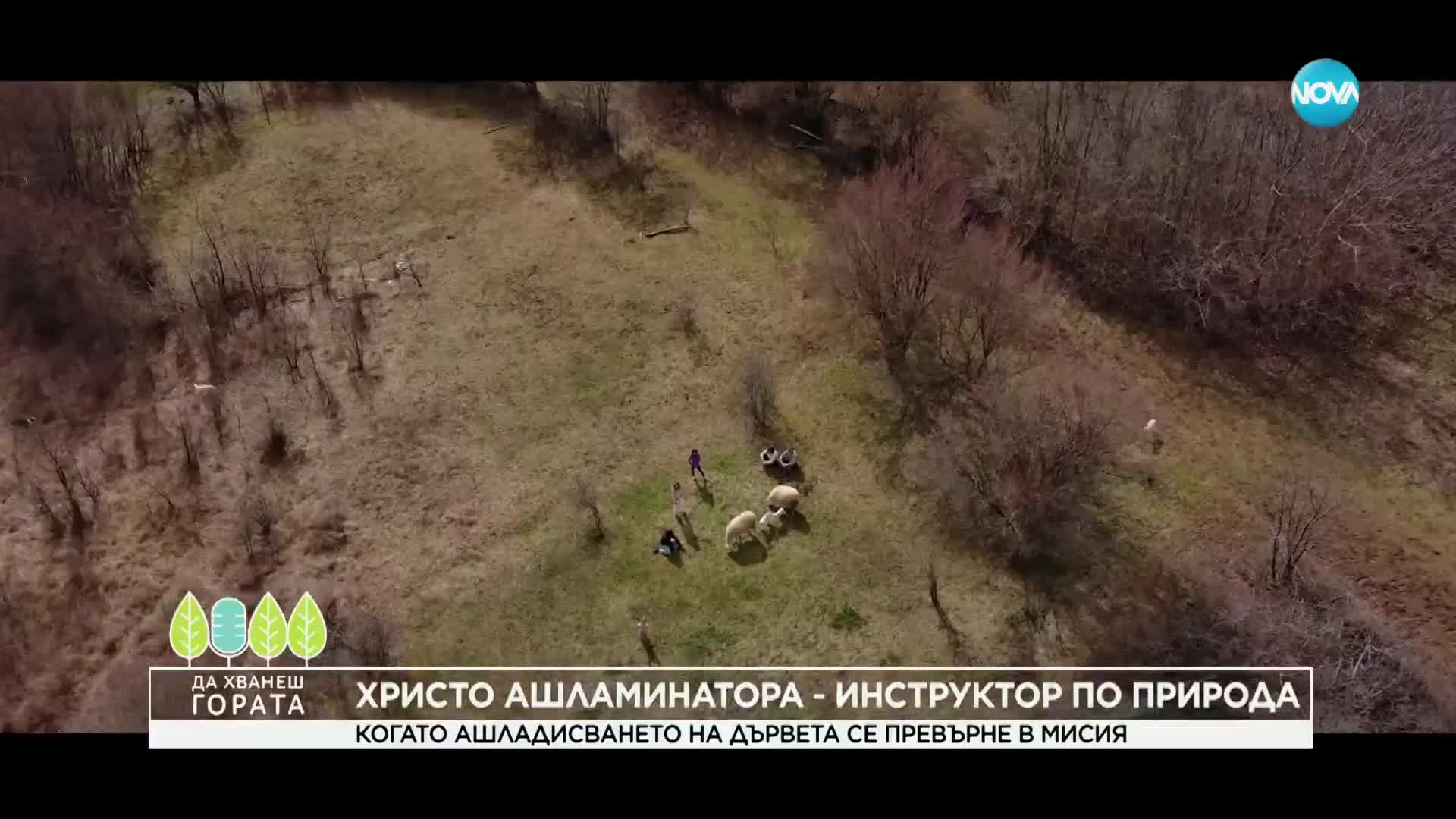Да хванеш гората (12.03.2023)