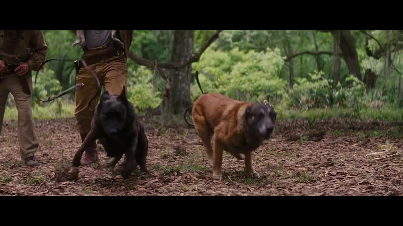 Sarafa & Shosho - DJANGO ft. Andre