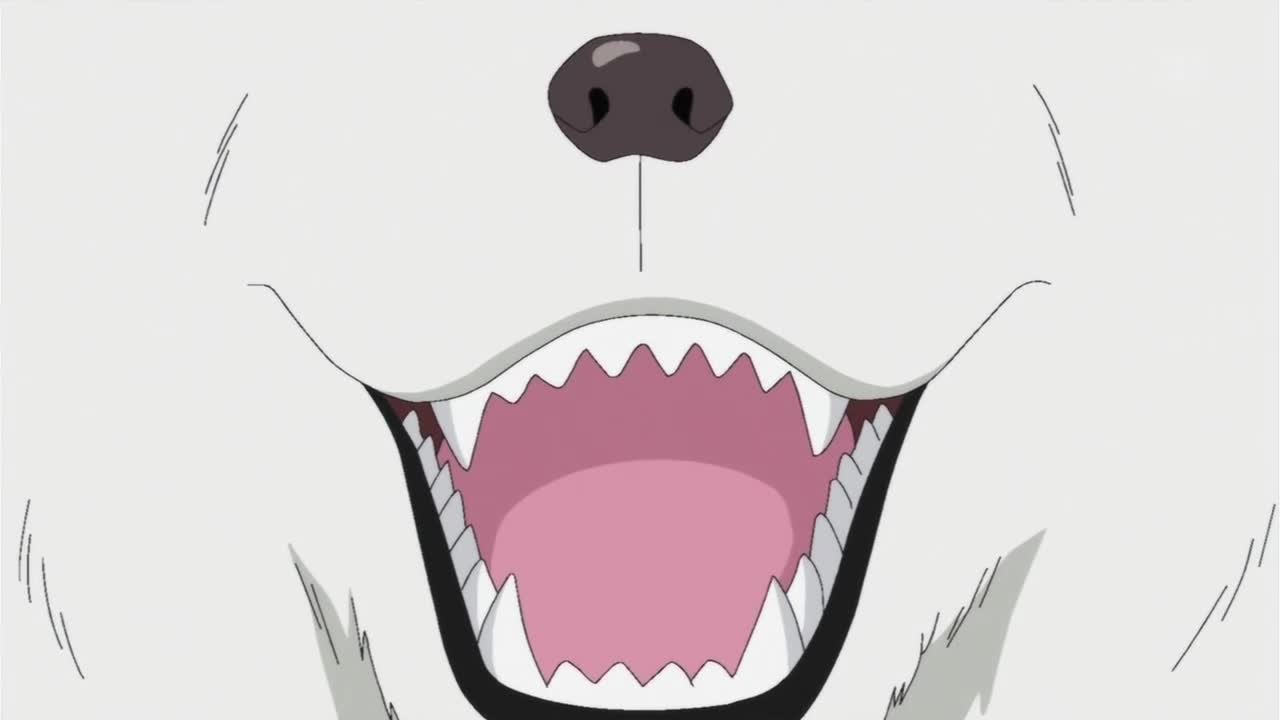 One Piece 495 Bg Subs Vbox7