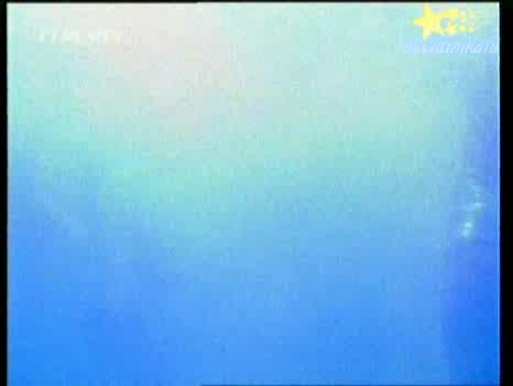 Дупка В Стената - Културисти 2 Кръг!18.07.2008