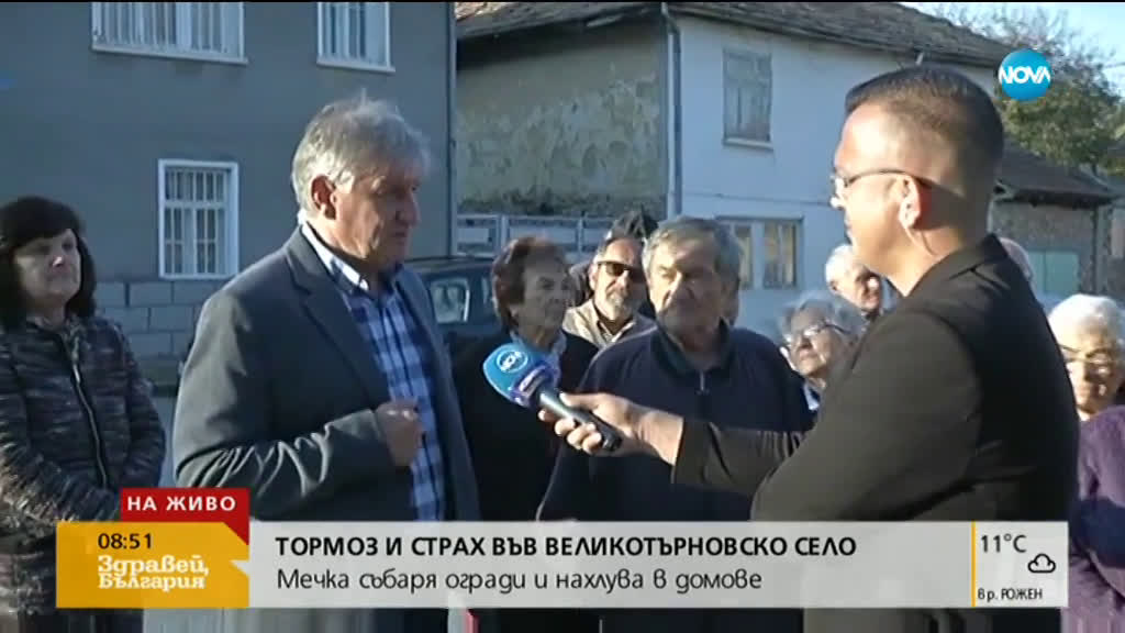 Мечка събаря огради и нахлува в домове в село Пушево
