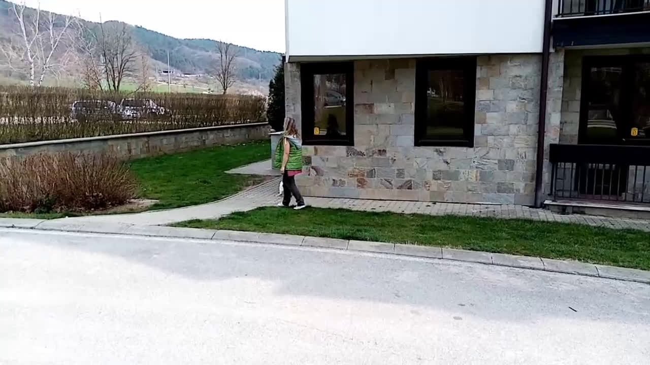 Котка на каишка, готова за разходка