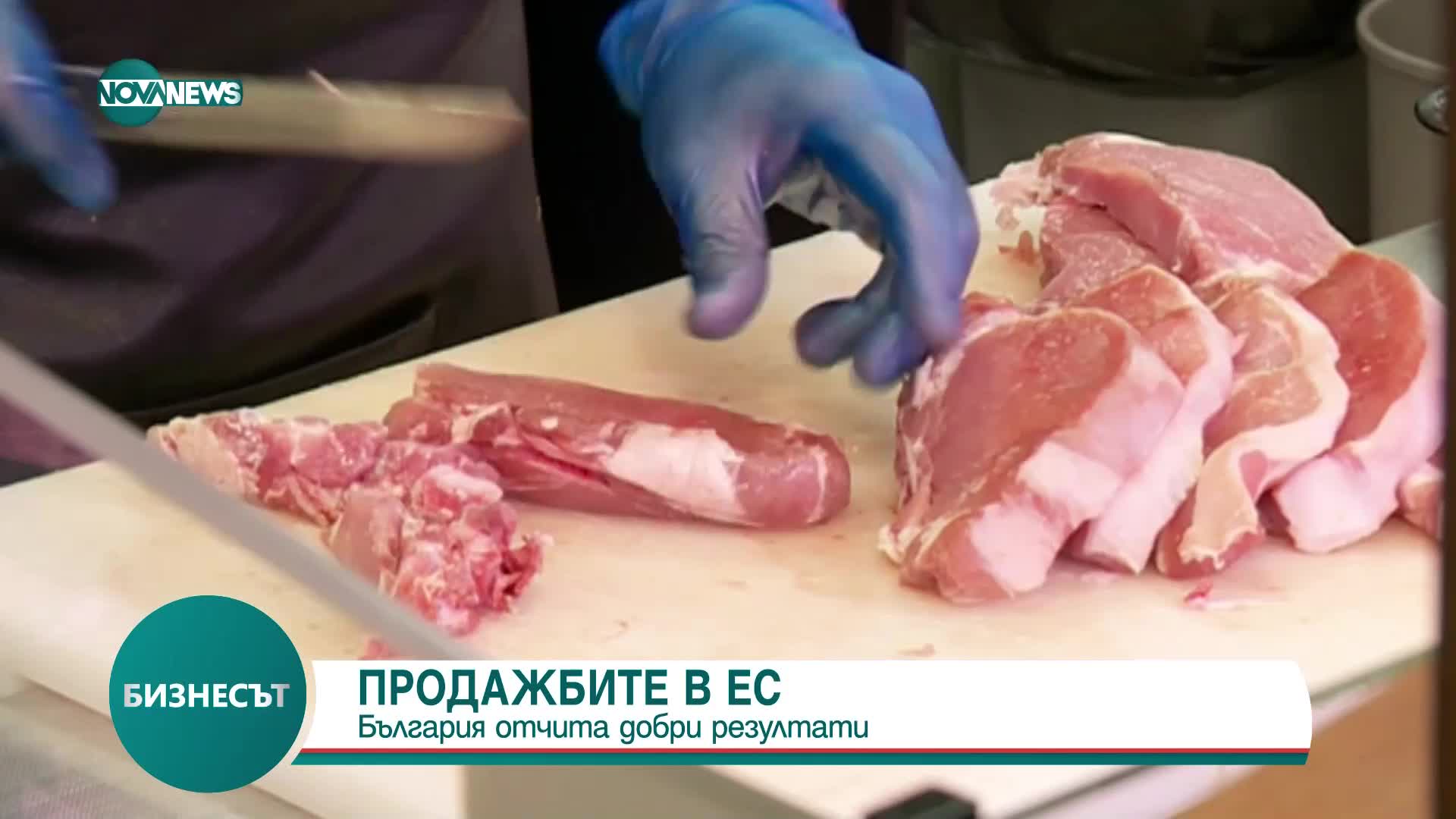 ПРОДАЖБИТЕ В ЕС: България отчита добри резултати