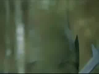 Lord Of the Rings & Nightwish