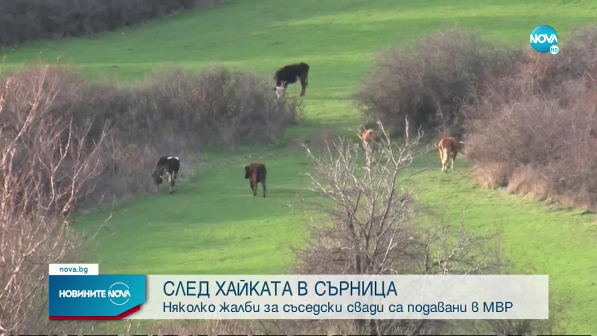 Съседи на въоръжения мъж от Сърница многократно подавали жалби срещу него