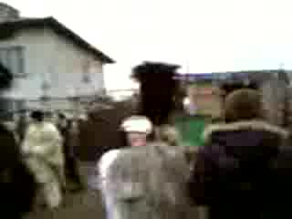 Сурва В Кв. "струмско" - Благоевград- КуКеРиТе Се БиЯт СъС СуРаТиТе :D