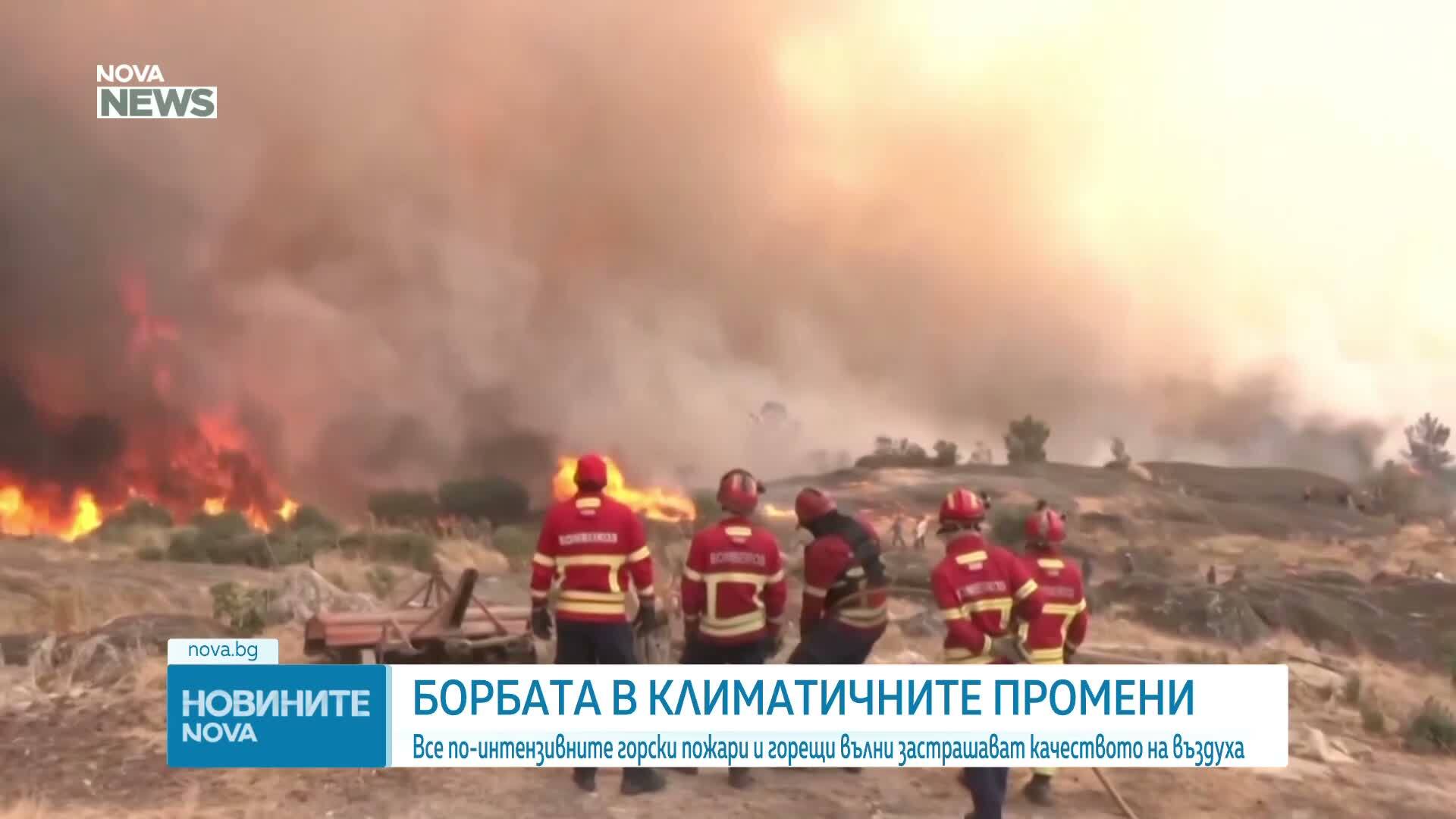 Световната метеорологична организация: Димът от пожарите може да измине хиляди километри и да причини замърсяване