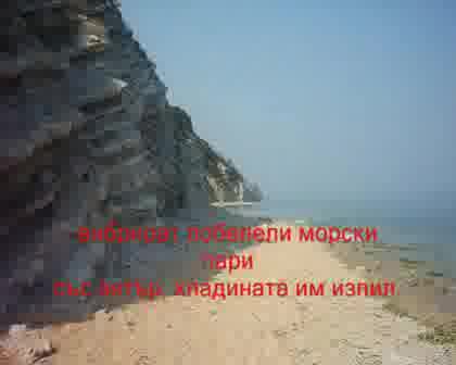 Тоника - Бургаски Вечери - Инструментал