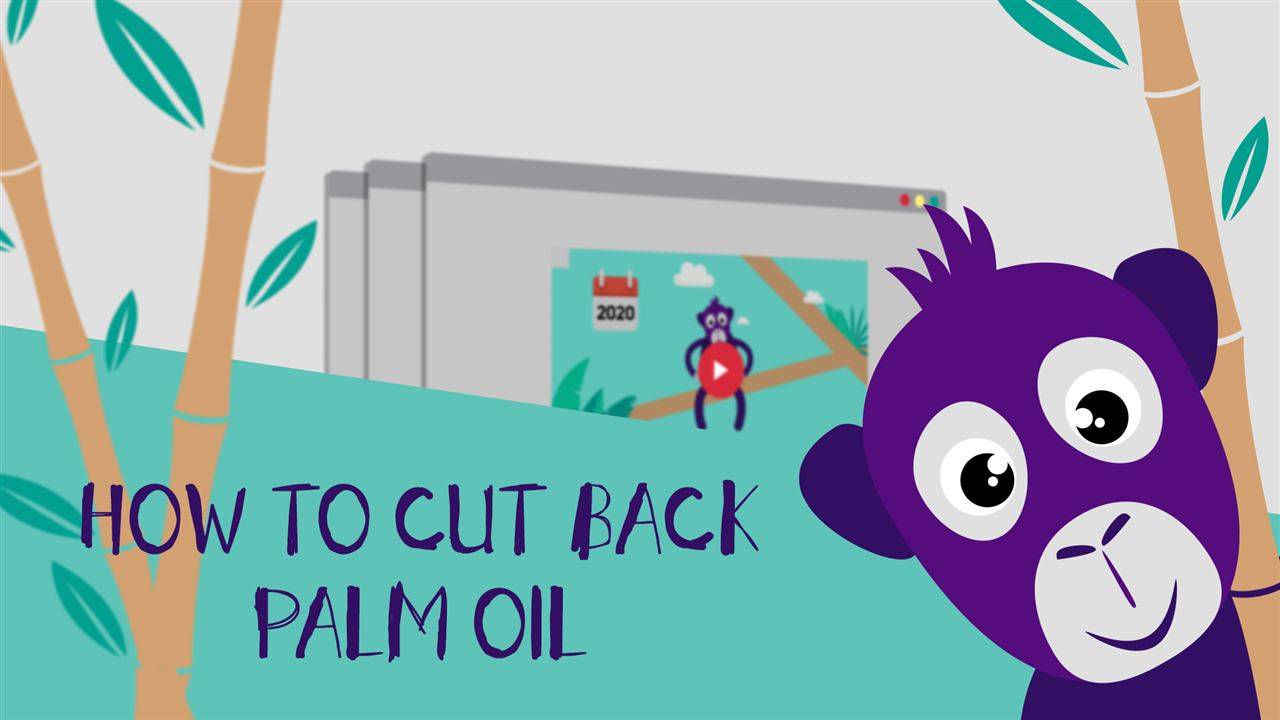 Война срещу палмовото олио! 5 стъпки за спасяването на орангутаните!
