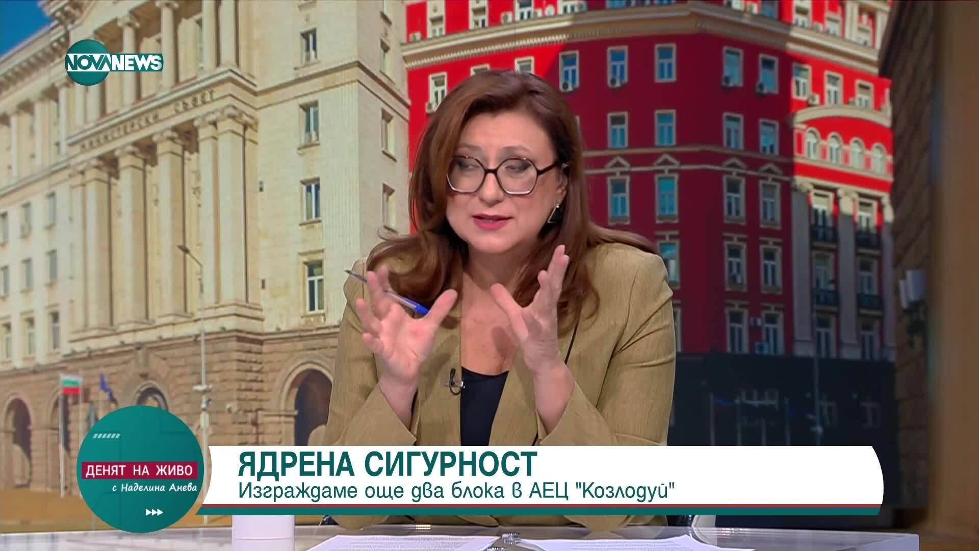Проф. Янко Янев: „Топлофикация София“ е пред фалит, но малките модулни реактори може да са решение