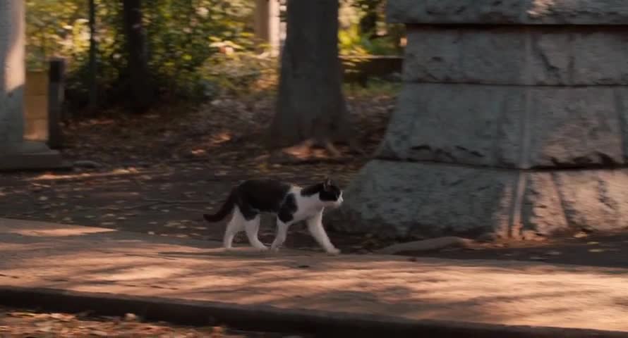 Cats Don't Come When You Call (2016) / Котките не идват, когато ги повикаш 3/3 бг превод
