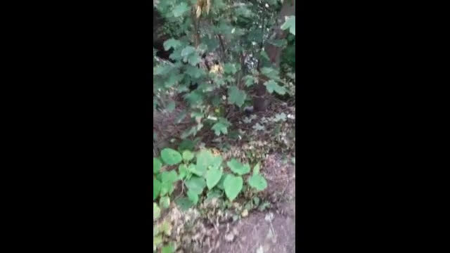 Разрушена улица