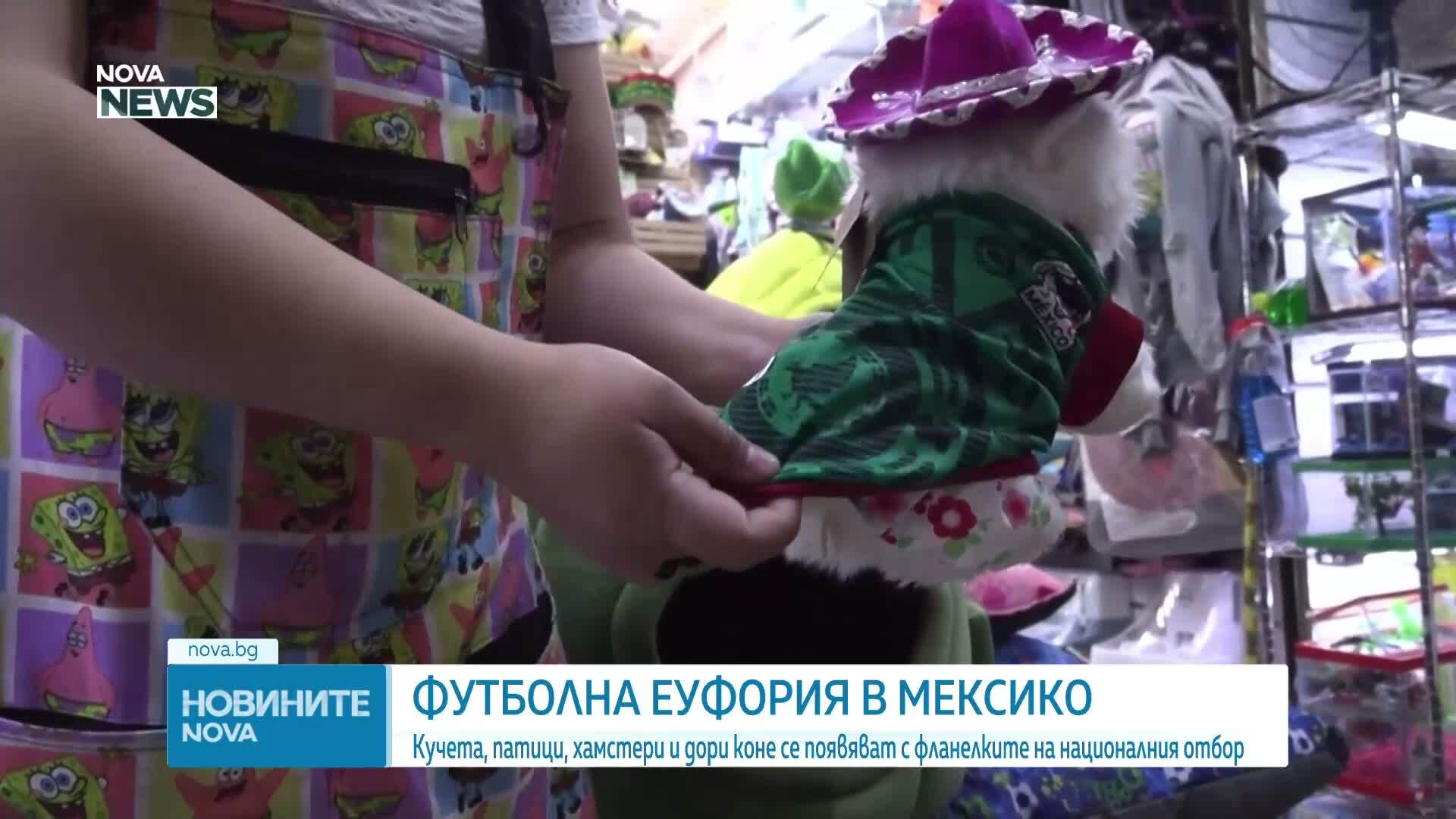 Футболна еуфория в Мексико: Кучета, патици, хамстери и дори коне се появяват с фланелките на националния отбор