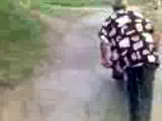 Ганчо И Боби С Количката