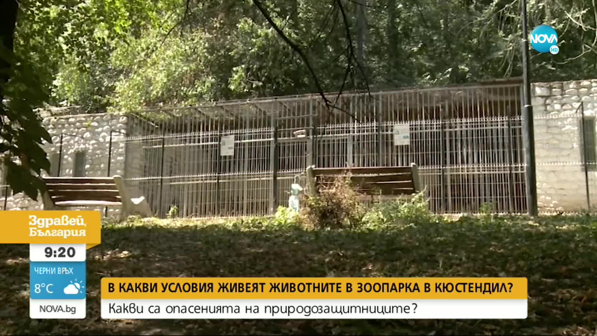 При какви условия се отглеждат животните в зоопарка в Кюстендил